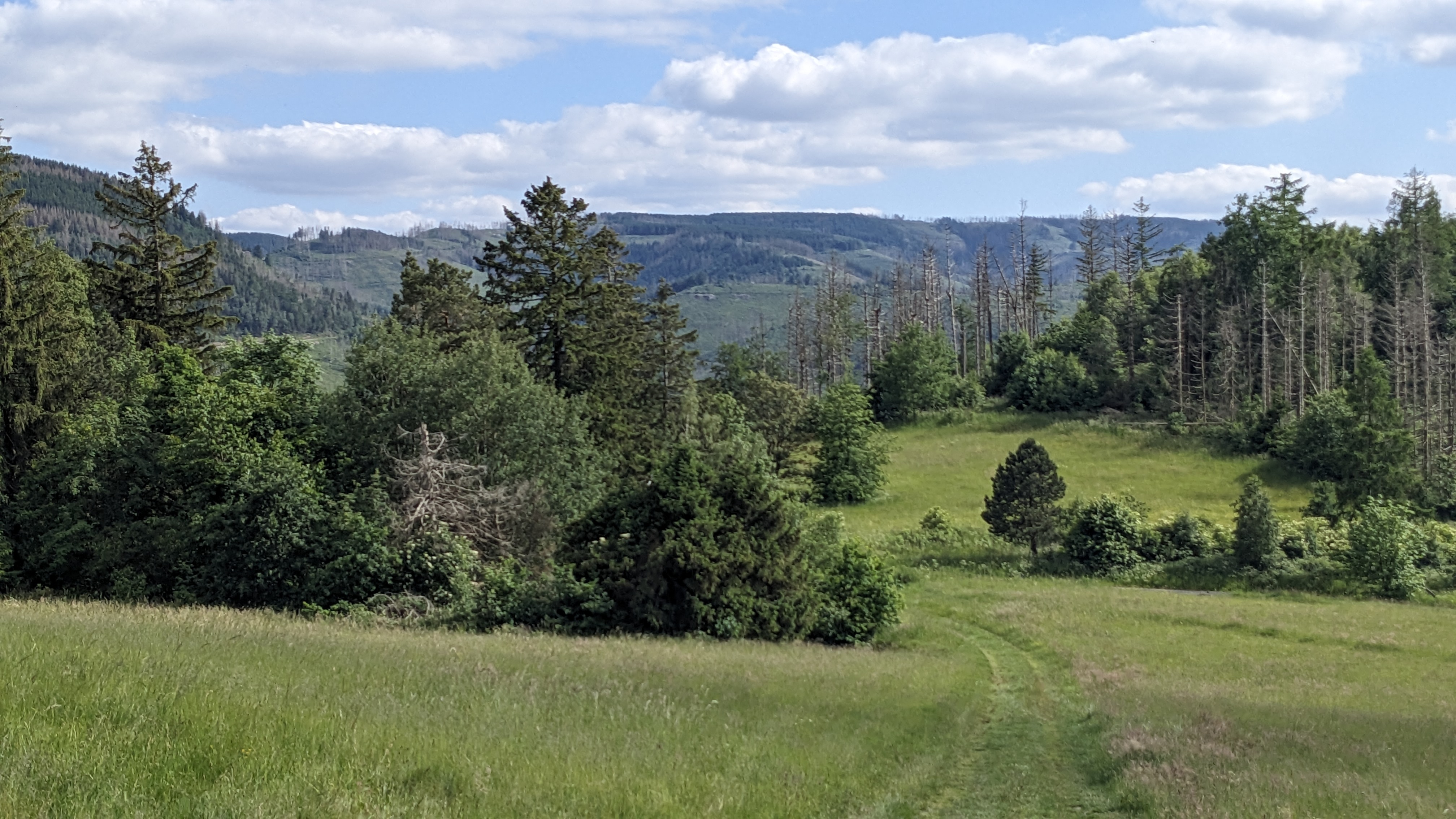 aussicht harz